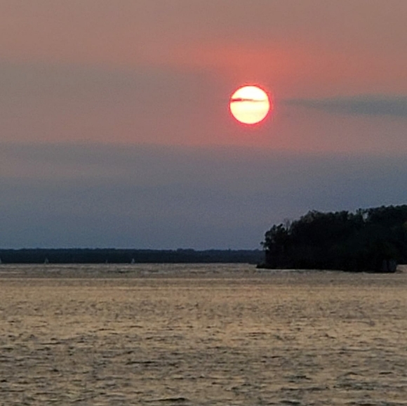 Meet your Posher, Dee Sales - Picture 1 of 1